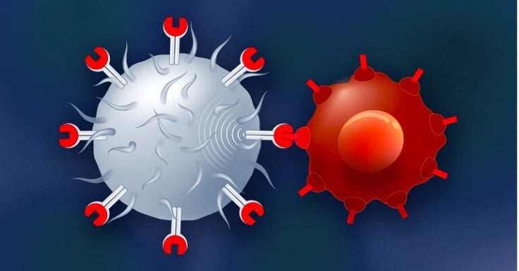 Human hemogenic endothelial (Hu-PHEC) cells