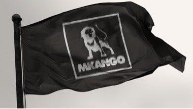 Mkango Resources