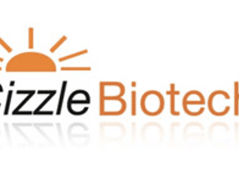 Cizzle shares: breaking down interim results